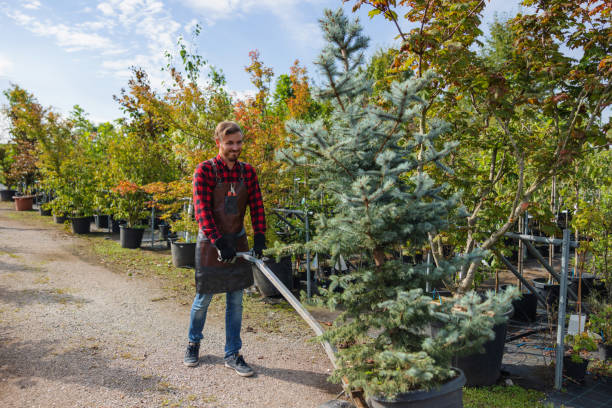 Best Soil Testing and Treatment  in Tioga Terrace, NY